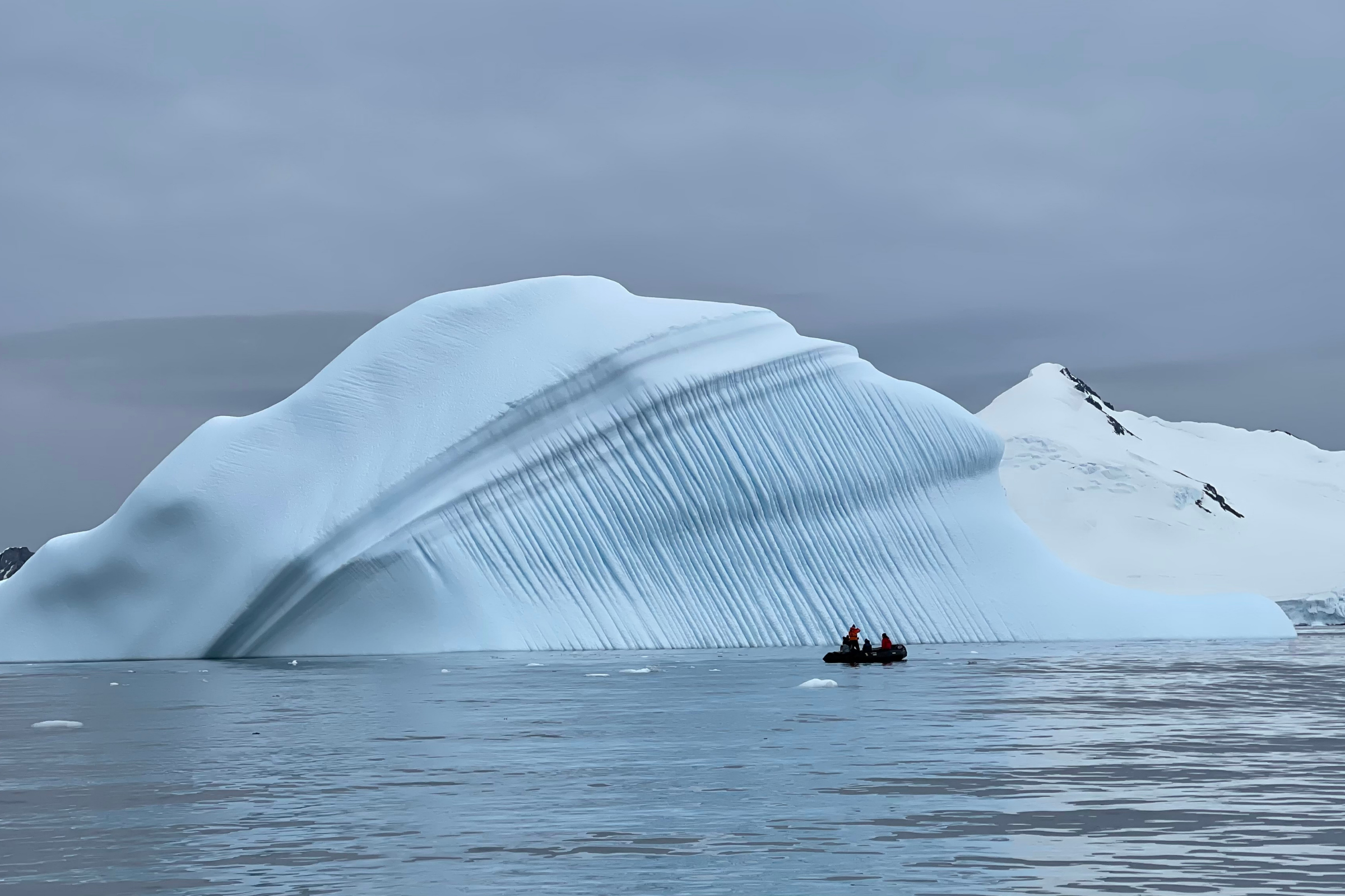 marguerite bay.webp